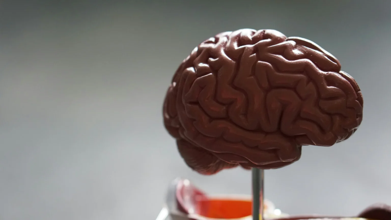 Unraveling Large Language Model Hallucinations