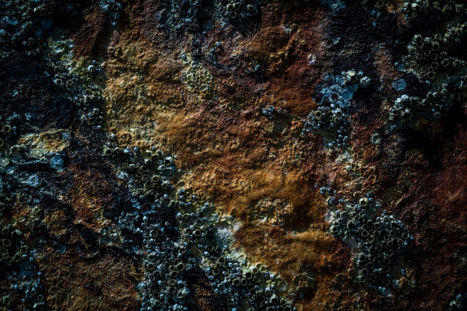 Rust for Python Developers: Why You Should Take a Look at the Rust Programming Language