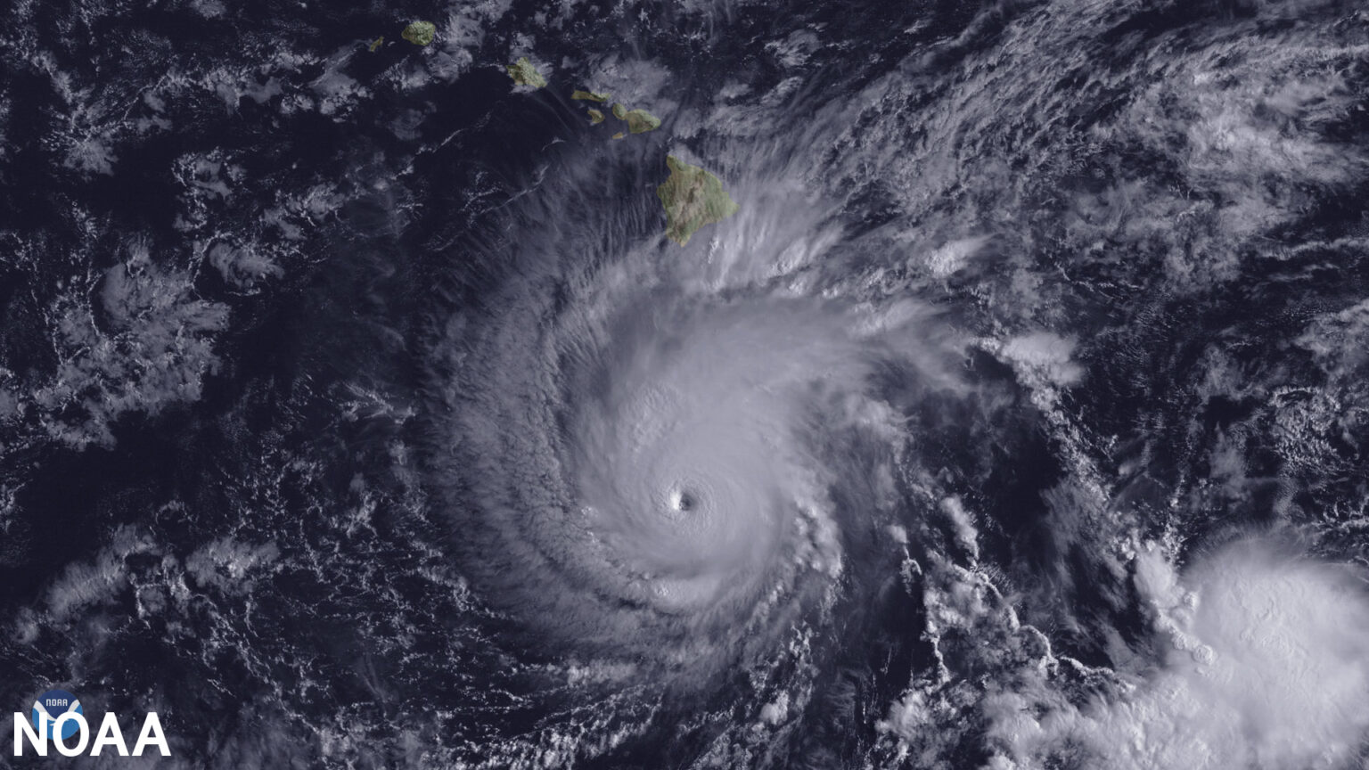 Google Has a New AI Model and Website for Forecasting Tropical Storms HS Today