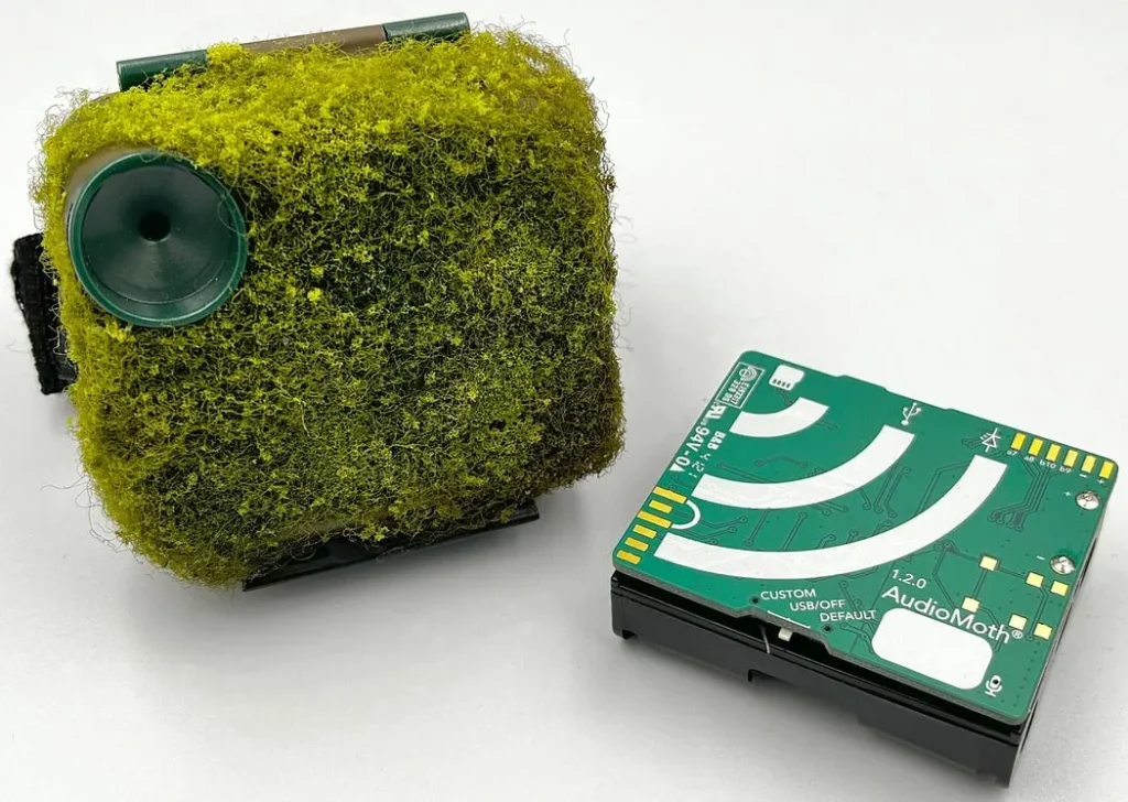 AudioMoth sound sensor