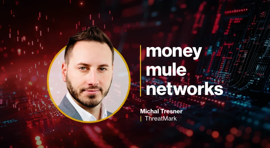 Money mule networks evolve into hierarchical, business-like criminal enterprises
